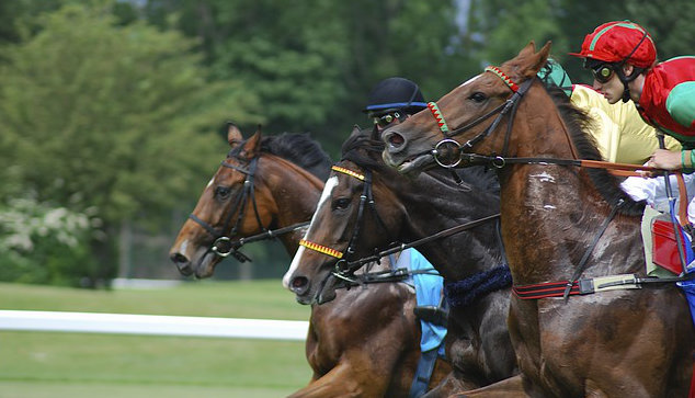 Horse racing Dubai