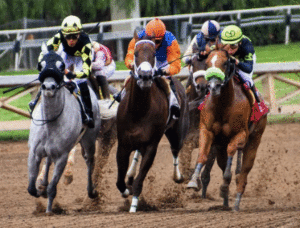 dubai horse racing betting